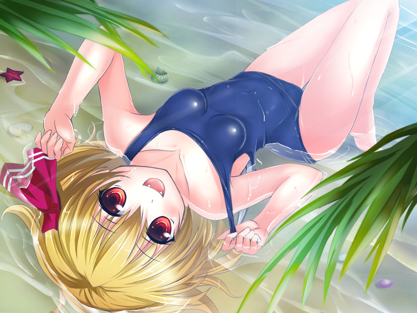 :d blonde_hair blush breasts bug_(artist) covered_navel fangs hair_ribbon highres lying on_back one-piece_swimsuit open_mouth partially_submerged red_eyes ribbon rumia school_swimsuit shiny shiny_clothes short_hair small_breasts smile solo starfish swimsuit touhou upside-down