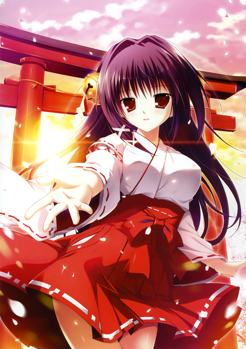 1girl absurdres bell cherry_blossoms copyright_request hair_bell hair_intakes hair_ornament highres japanese_clothes jingle_bell legs mikeou miko outstretched_hand purple_hair red_eyes skirt skirt_lift sunset torii