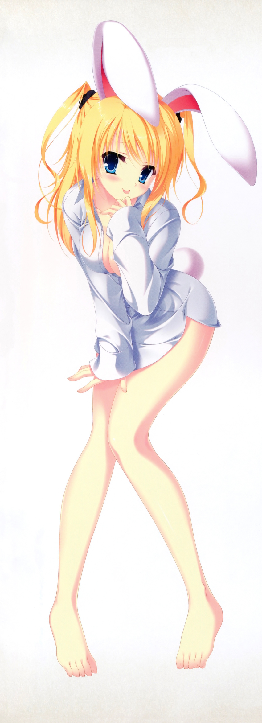 :p absurdres animal_ears barefoot blonde_hair blue_eyes breasts bunny_ears bunny_tail cleavage da_capo da_capo_iii dress_shirt full_body highres large_breasts legs long_hair long_sleeves morizono_rikka naked_shirt open_clothes open_shirt shirt simple_background tail tanihara_natsuki tongue tongue_out twintails two_side_up