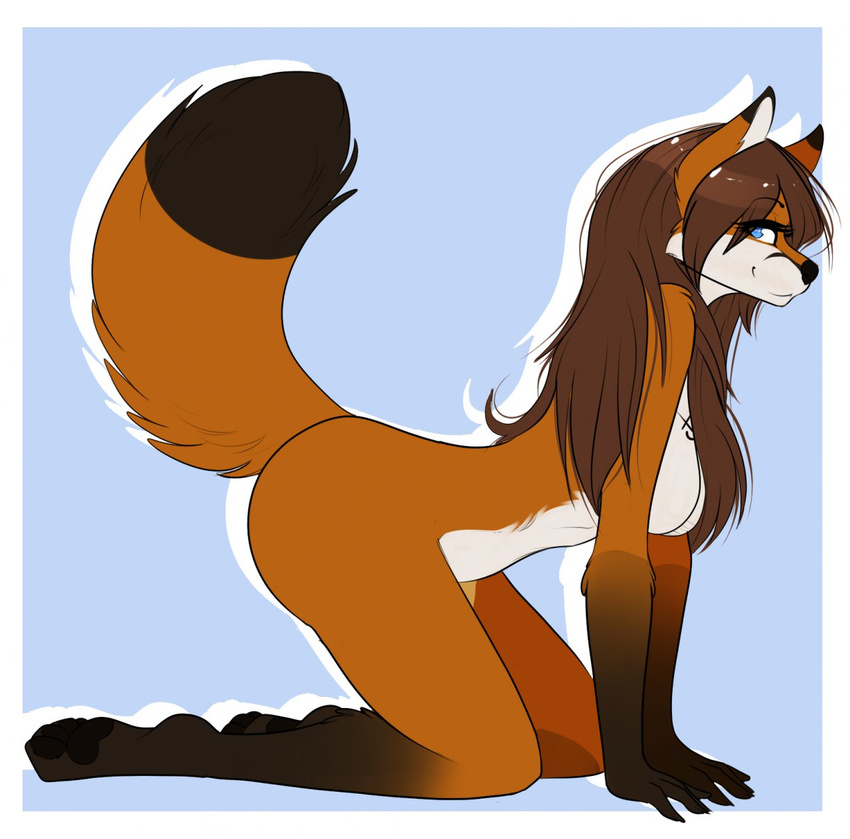 aimi all_fours anthro barefoot black_fur black_nose black_pawpads blue_background blue_eyes breasts brown_fur brown_hair canine female fox fur hair hindpaw long_hair looking_at_viewer mammal markings multicolor_fur nude orange_fur paws plain_background pose seductive side_view smile socks_(marking) solo spoonyfox thighs two_tone_fur