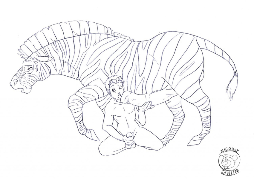 balls bestiality cum cum_in_mouth cum_inside equine erection feral gay gwon handjob hooves horsecock human human_on_feral humanoid_penis interspecies kneeling male mammal nude oral penis plain_background sketch white_background zebra