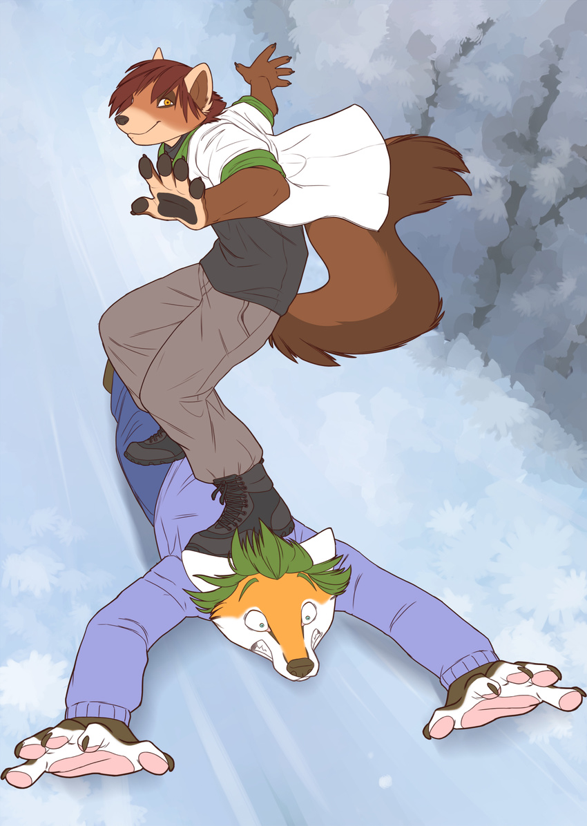 canine duo fox iskra male mammal marten mustelid snow