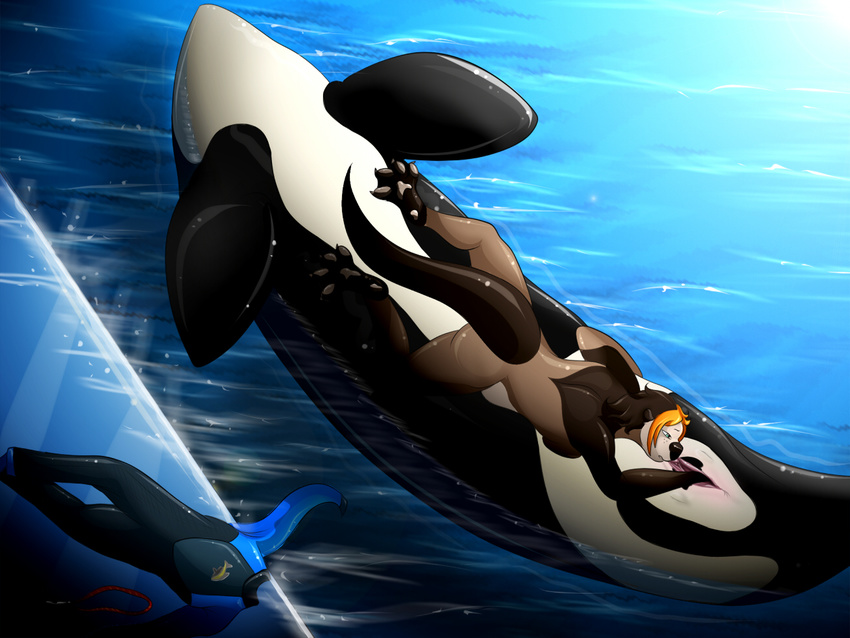 anthro_on_feral bestiality breasts cetacean female feral fisting interspecies lesbian mammal marine mustelid orca otter pawpads paws sea_otter sex size_difference size_play tange tangerine theothefox whale