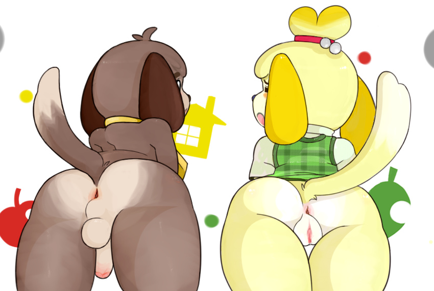 animal_crossing anus blush canine digby digby_(animal_crossing) dog female isabelle_(animal_crossing) male mammal nintendo penis pkaocko pussy video_games