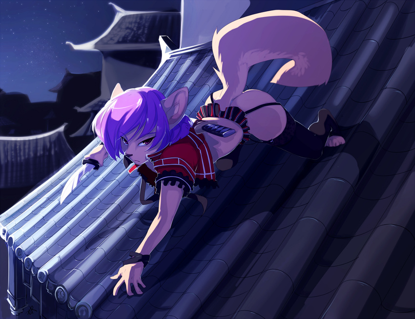 ambiguous_gender canine clothed clothing fenix fenix-fox fox garter_belt girly hair katana knife leggings legwear male mammal moonlight night panties peritian purple_hair red_eyes rooftop shirt skimpy skirt solo stars stockings sword thigh_highs top underwear weapon