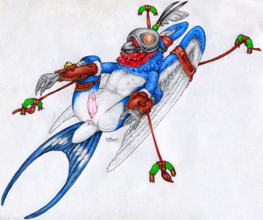 anus avian bdsm bird blue_feathers bondage bound lying male nude on_back penis solo spread_legs spreading will windpaw wings wrists_to_ankles