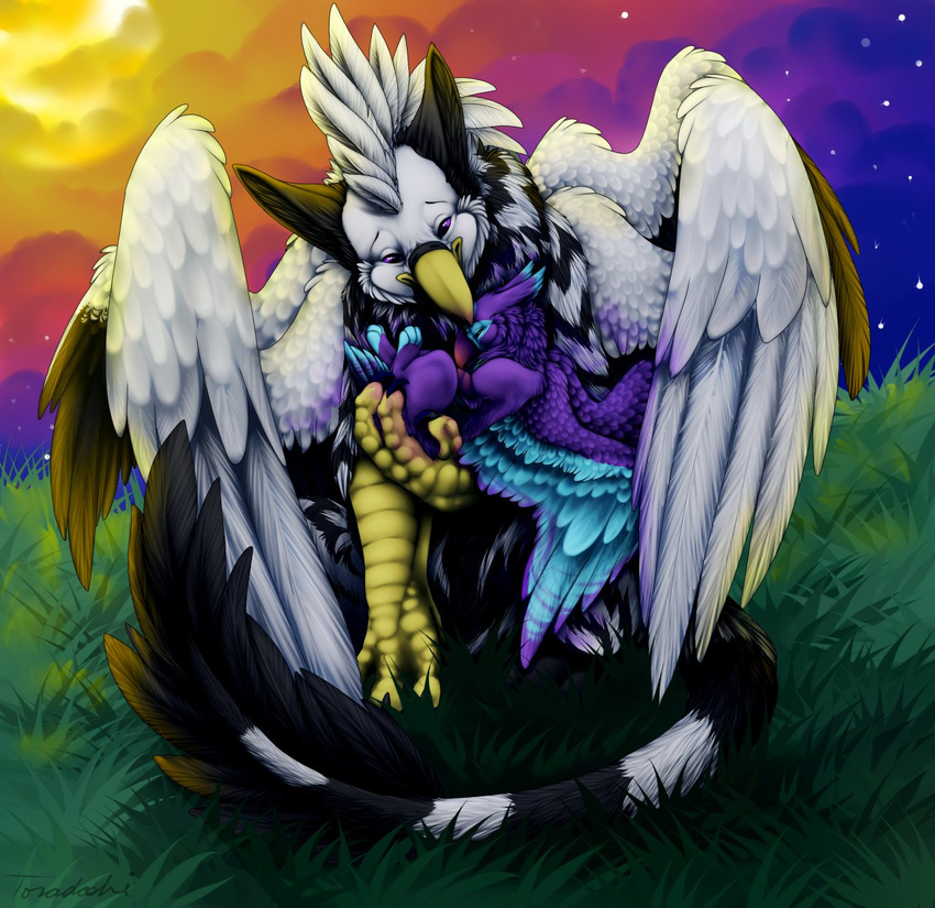 avian beak cuddling cute feral feral_on_feral gryphon hug merygryph outside purple_feathers size_difference sunset toradoshi white_feathers wings