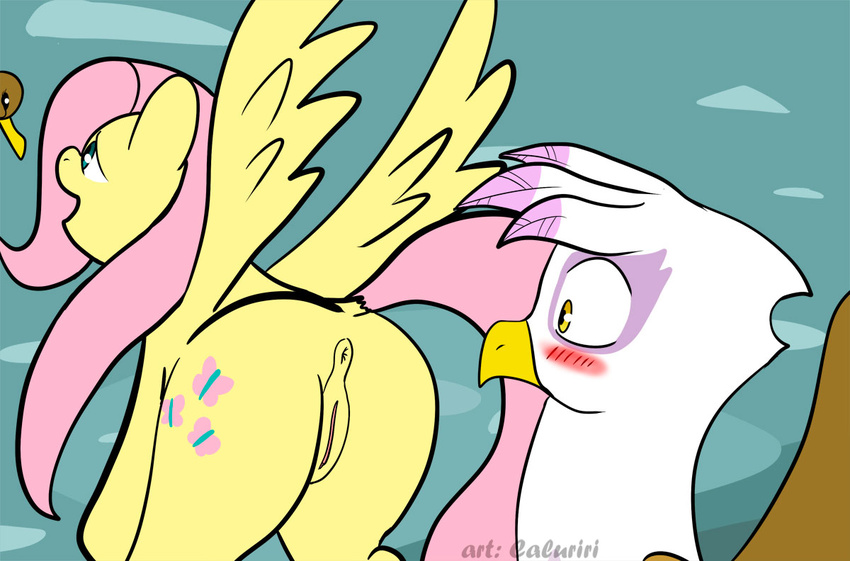 anus avian blue_eyes blush caluriri cutie_mark duck duo equine female feral fluttershy_(mlp) friendship_is_magic fur gilda_(mlp) gryphon hair horse mammal my_little_pony pegasus pink_hair pony pussy white_feathers wings yellow_eyes yellow_feathers yellow_fur