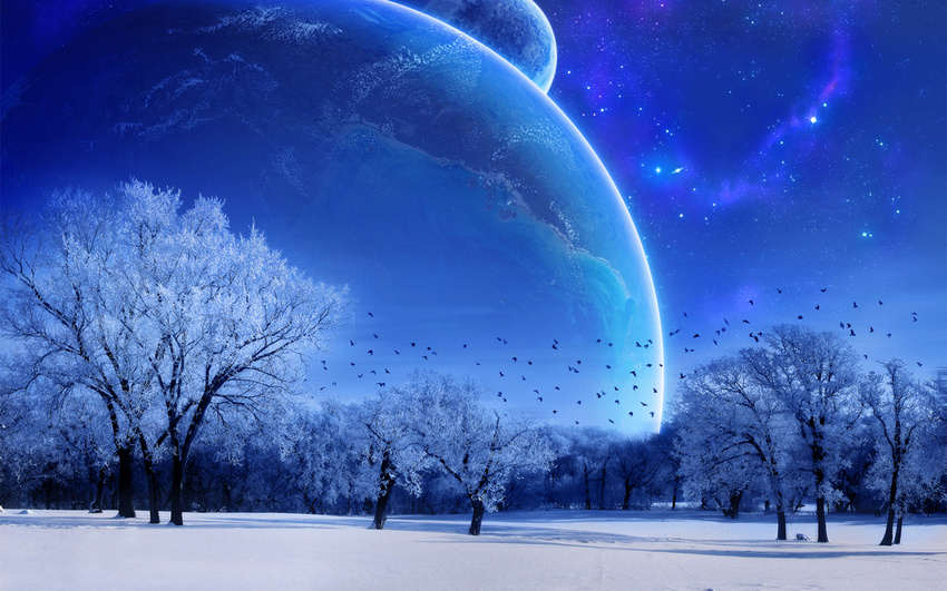 bird copyright_request earth highres moon no_humans scenery sky snow star_(sky) starry_sky tree wallpaper