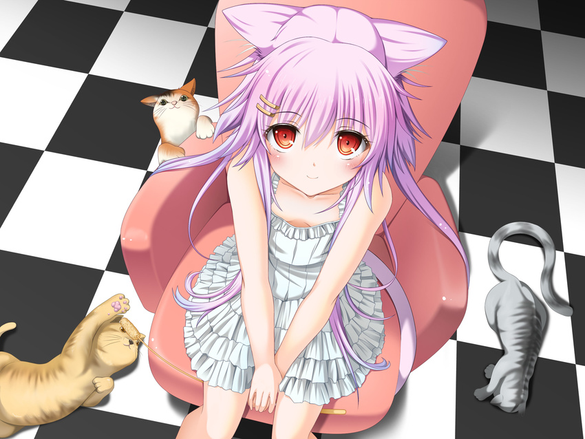 animal_ears armchair blush cat cat_ears cat_tail chair checkered checkered_floor dress from_above hair_ornament hairclip highres long_hair looking_at_viewer looking_up moeki_yuuta original purple_hair red_eyes sitting smile solo tail v_arms white_dress