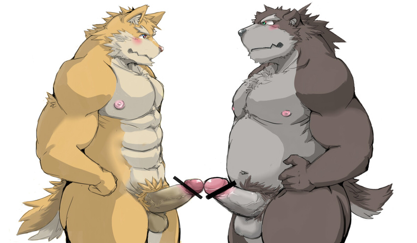 anthro balls bear biceps blush brown_fur canine censored chubby duo erection fur gay green_eyes grey_fur hair interspecies kemono male mammal muscles nipples nude overweight pecs penis plain_background pose pubes sheath standing tiluta vein white_background wolf yellow_fur