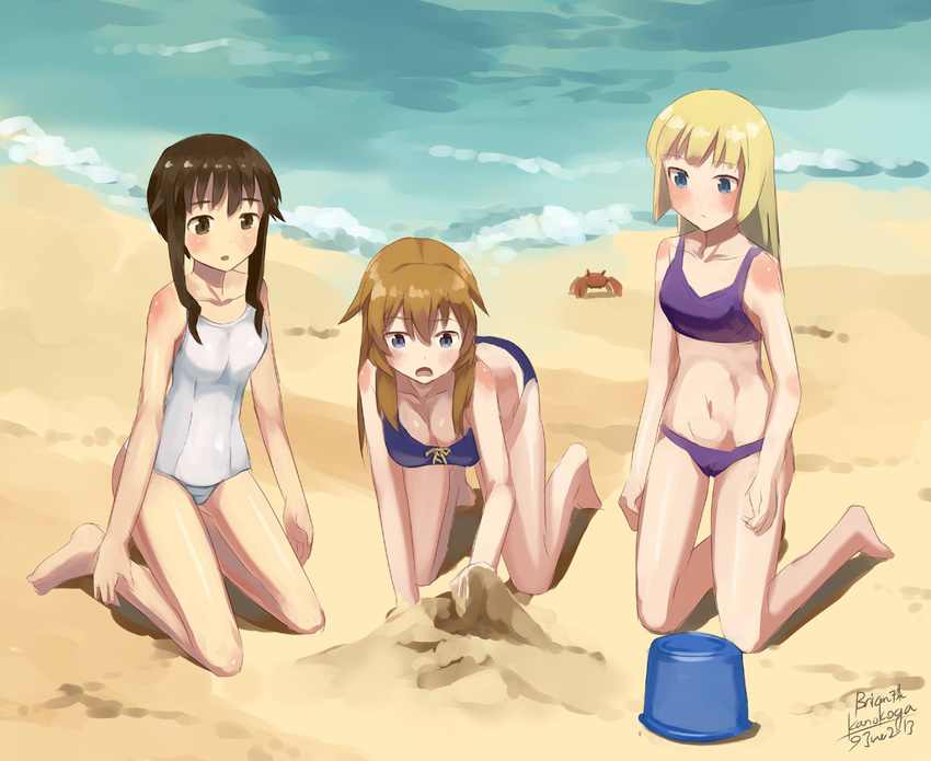 artist_name bare_shoulders beach bikini blonde_hair blue_eyes blue_swimsuit breasts brown_eyes brown_hair bucket charlotte_e_yeager cleavage collarbone crab dated kanokoga kneeling marian_e_carl medium_breasts multiple_girls noble_witches one-piece_swimsuit purple_swimsuit sand school_swimsuit signature strike_witches swimsuit takei_junko water world_witches_series