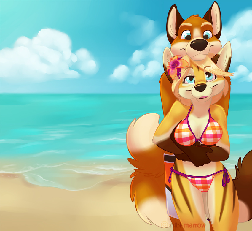 2013 beach bikini canine chibi-marrow cute flower flower_in_hair fox from_behind outside seaside tight_clothing wolf