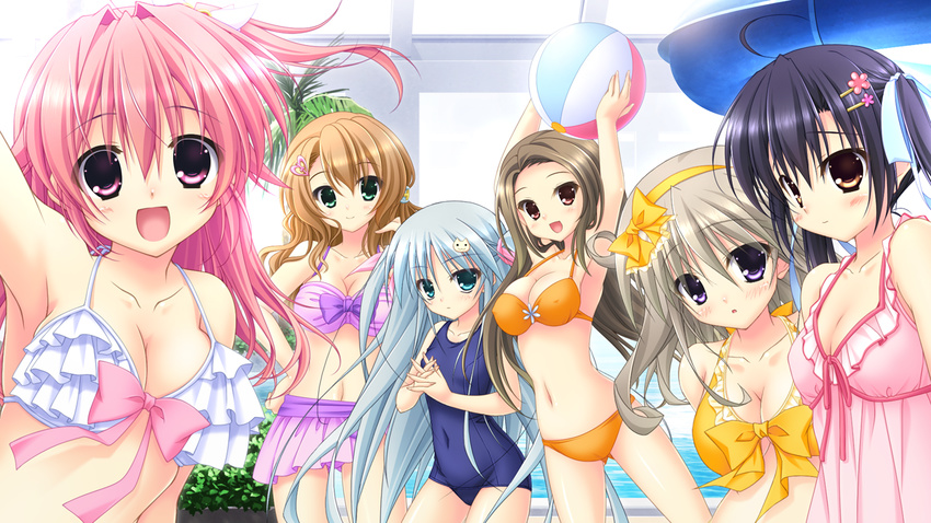 bikini chikotam cleavage game_cg inagaki_miiko pool school_swimsuit swimsuit tagme_(character) yume_koi