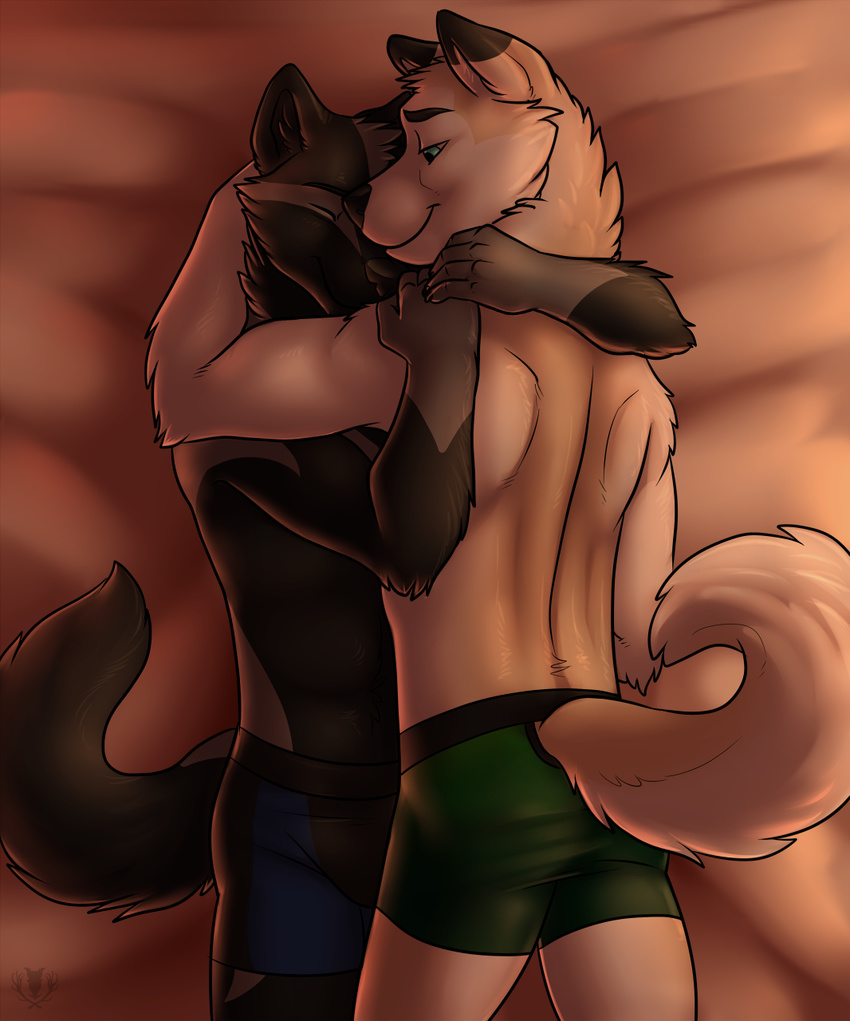 anthro back bed bird's-eye_view boxers butt canine clothing couple cuddling cute dog duo eyes_closed gay green_eyes high-angle_shot hug husky male mammal simple_background smile tail_button_bottoms topless underwear vallhund warm_colors wolf