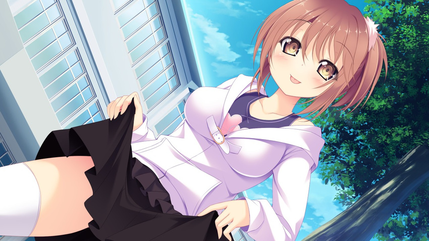 1girl blush breasts brown_eyes brown_hair building cloud game_cg kazakura koi_shiyo? legs looking_at_viewer ponytail short_hair skirt skirt_lift sky smile solo standing thighs tongue tongue_out tree white_legwear