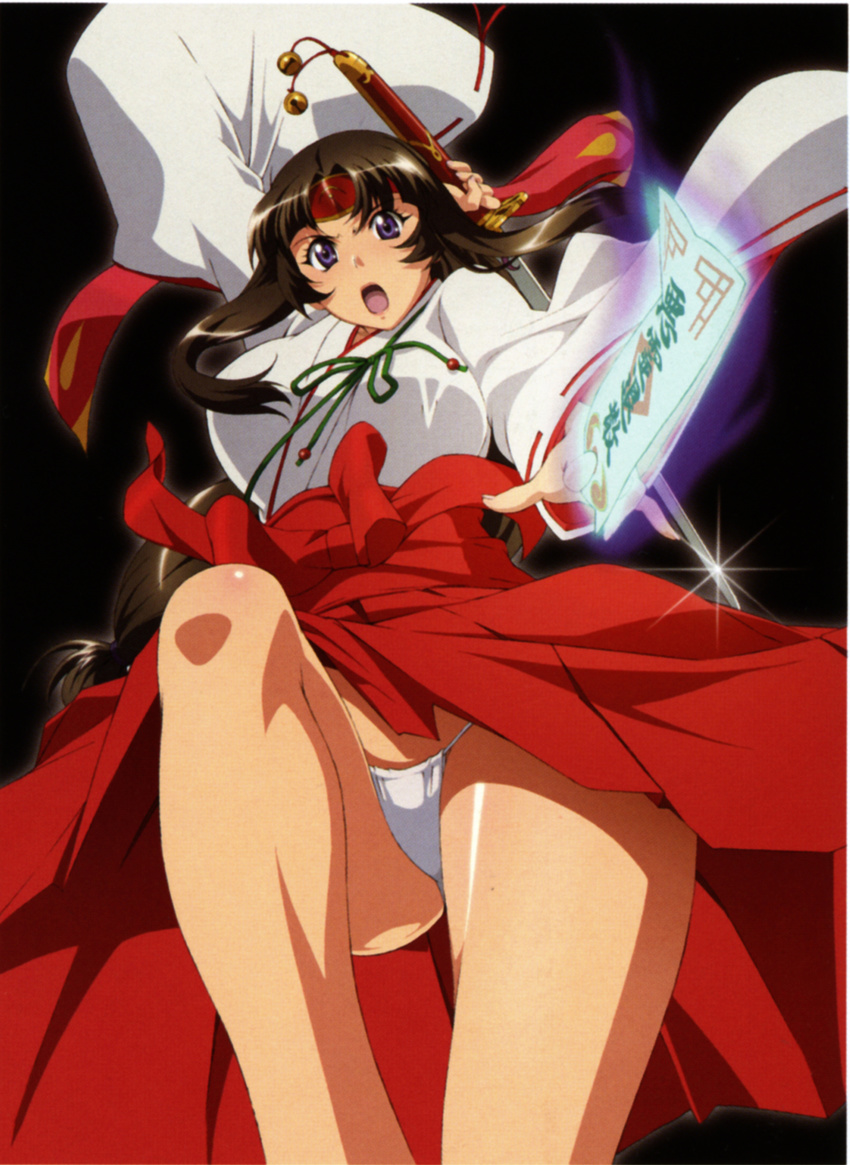miko queen's_blade scanning_dust tagme