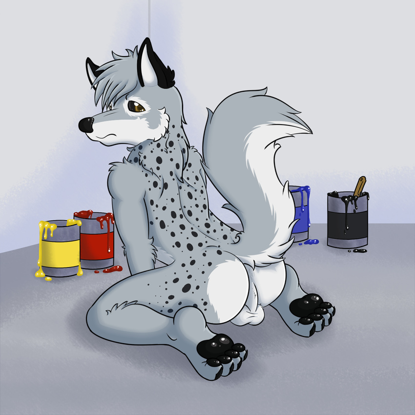 anthro anus balls bjkgreywolf black_paint blue_paint butt canine fur hindpaw looking_back male mammal paint paintbrush pawpads paws presenting presenting_hindquarters raised_tail red_paint simple_background sitting solo wolfyena yellow_eyes yellow_paint