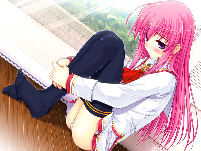 1girl feet feet_together flat_chest game_cg hime_x_hime indoors kujouin_saki no_shoes panties pink_hair purple_eyes school_uniform sitting solo thighhighs underwear