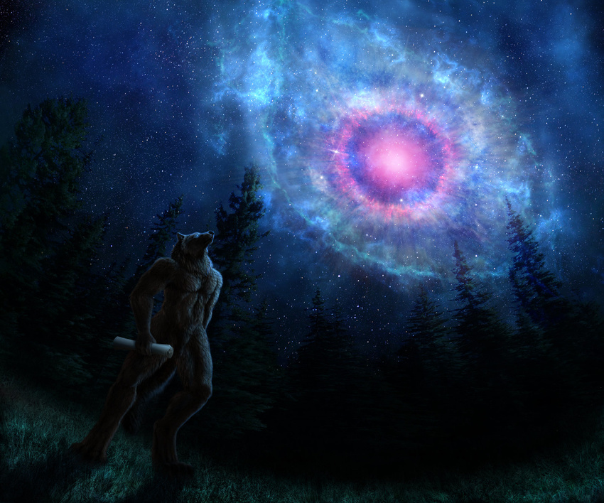 canine eye forest fur glowing glowing_eyes jocarra looking_up male mammal scroll space standing stars tree white_fur wolf