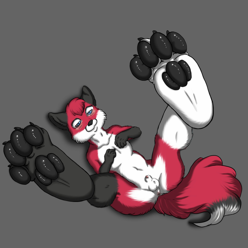 anthro anus badwing balls barefoot black_eyes black_fur black_nose black_pawpads black_skin blue_eyes blush butt canine claws close-up cute foot_focus fox fur grey_background grey_fur hair happy hi_res invalid_tag legs_up lying male mammal nude on_back pawpads paws penis penis_tip pink_penis pink_skin plain_background presenting presenting_hindquarters raised_leg red_fur red_hair shadow sheath shiny short_hair skin smile solo spread_legs spreading squint vonredwing white_eyes white_fur