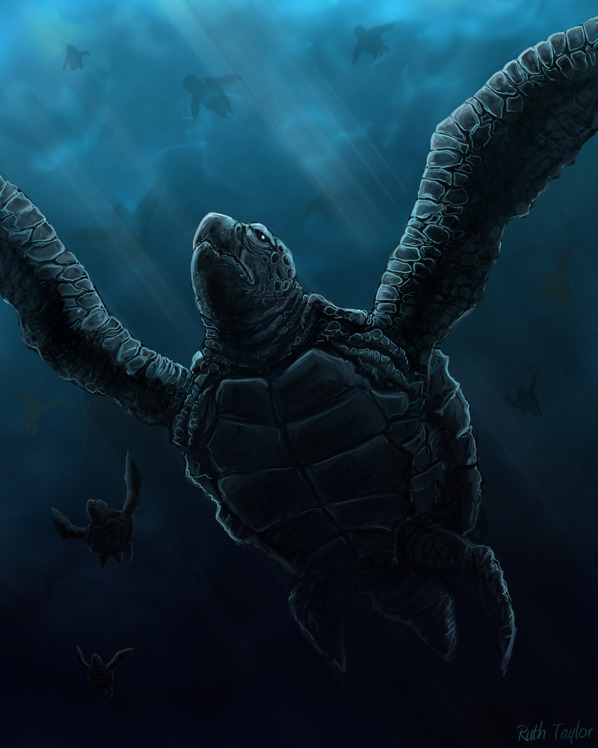 ambiguous_gender blue_theme cool_colors reptile ruth-tay scalie turtle underwater water