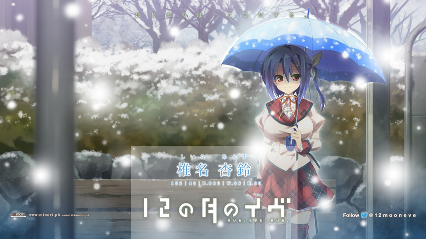 12_no_tsuki_no_eve blue_hair minori seifuku shiina_anzu shouna_mitsuishi snow umbrella