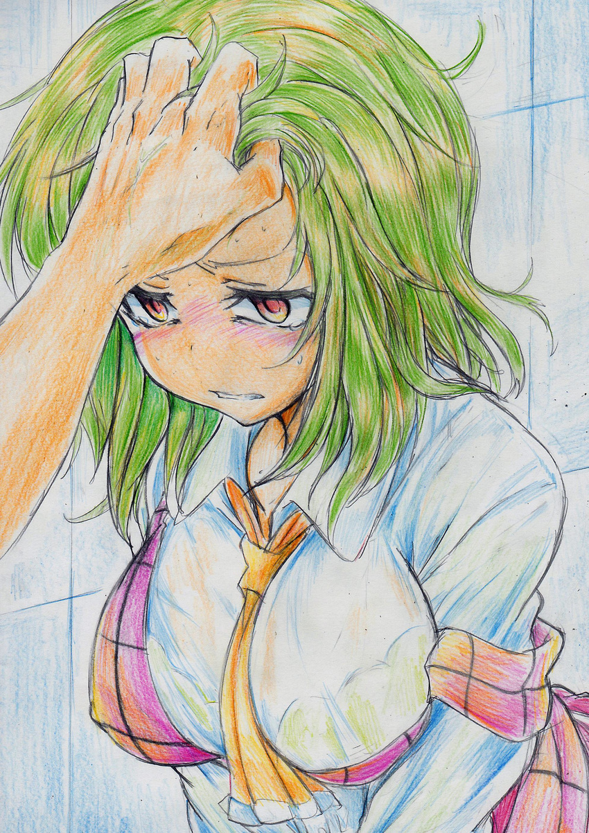 absurdres angry ascot between_breasts blush breasts clenched_teeth frown gradient_eyes green_hair hair_grab hand_on_another's_head highres kazami_yuuka large_breasts multicolored multicolored_eyes nichibotsu_(kitaziman) see-through short_hair sweat tears teeth touhou