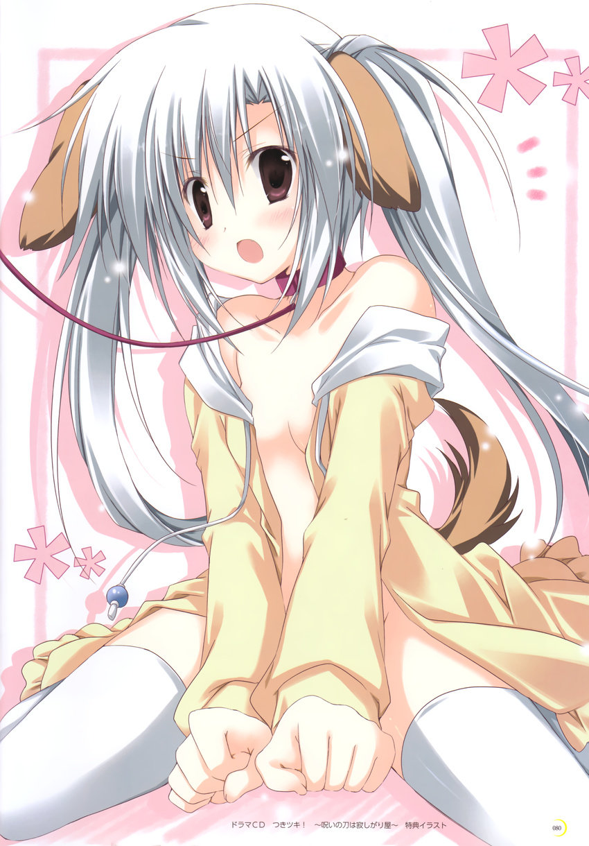 absurdres animal_ears between_legs coat collar collarbone dog_ears dog_tail elni hand_between_legs highres kemonomimi_mode korie_riko leash long_hair long_sleeves looking_at_viewer no_bra open_clothes open_coat open_shirt pink_background shirt simple_background spread_legs tail tareme thighhighs tsuki_tsuki! twintails white_hair white_legwear