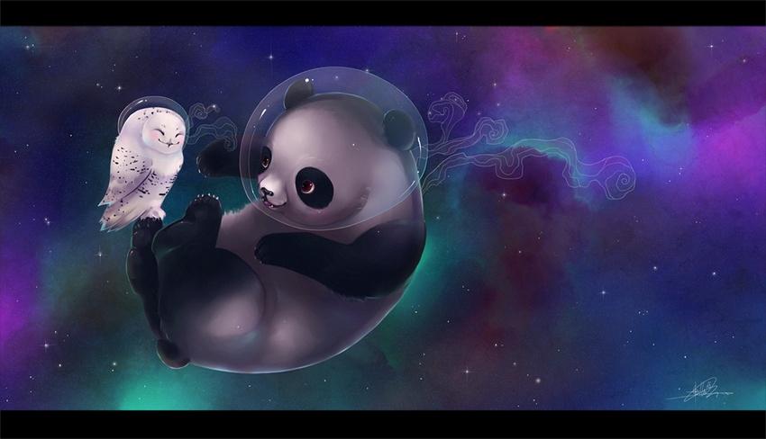bear duo feral liea mammal owl panda space stars