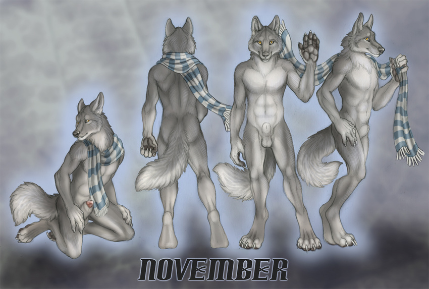 5_fingers abs anthro back back_turned balls biceps canine claws front fur grey_background grey_fur grey_nose grey_theme kneeling looking_at_viewer male mammal model_sheet muscles navel november nude pecs penis penis_tip plain_background raised_arm rukis scarf side_view solo standing toe_claws wolf yellow_eyes