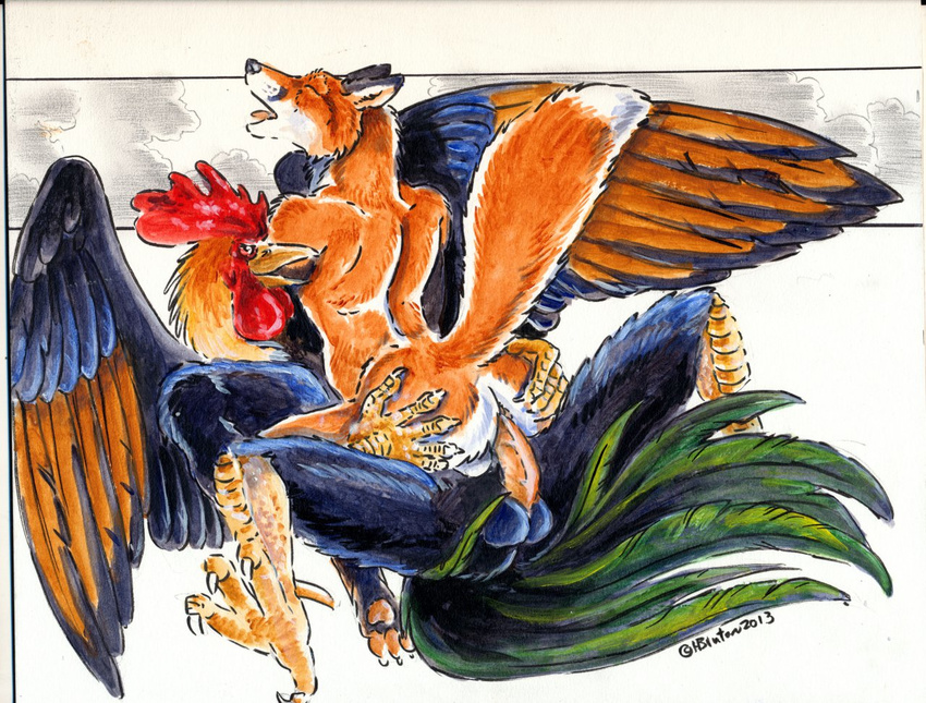 anal anal_penetration anthro anus avian back balls beak blue_feathers butt butt_grab canine duo eyes_closed fox fur gay heather_bruton interspecies lying male mammal nude on_back open_mouth orange_feathers orange_fur penetration penis predator/prey_relations raised_tail rooster sex spread_legs spread_wings spreading tongue wings