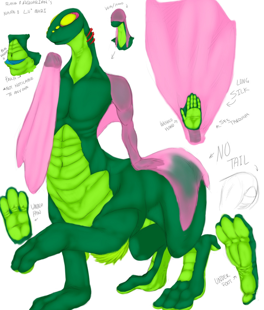 amphibian body heartman98 model_sheet pouch profile species taur toes unknown_species