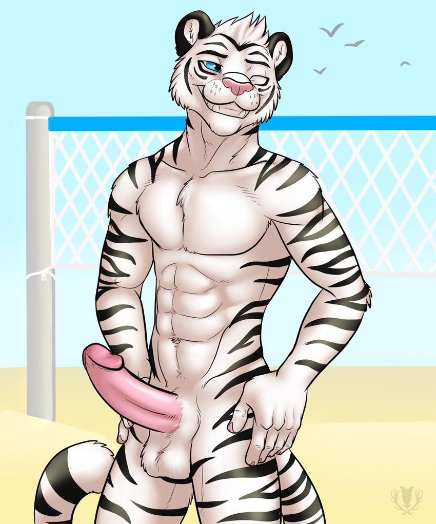 abs anthro aolun_(character) balls beach biceps big_muscles big_penis black_fur blue_eyes body_markings erection feline fur grin humanoid humanoid_penis male mammal markings muscles nude one_eye_closed pecs penis pink_nose pose presenting seaside sheath smile solo standing stripes teeth tiger vallhund volley white_fur white_tiger wink