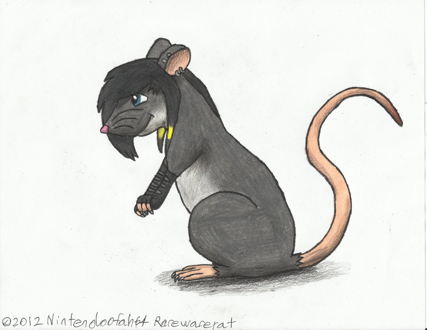female feral fur grey_fur mammal piercing rat rodent