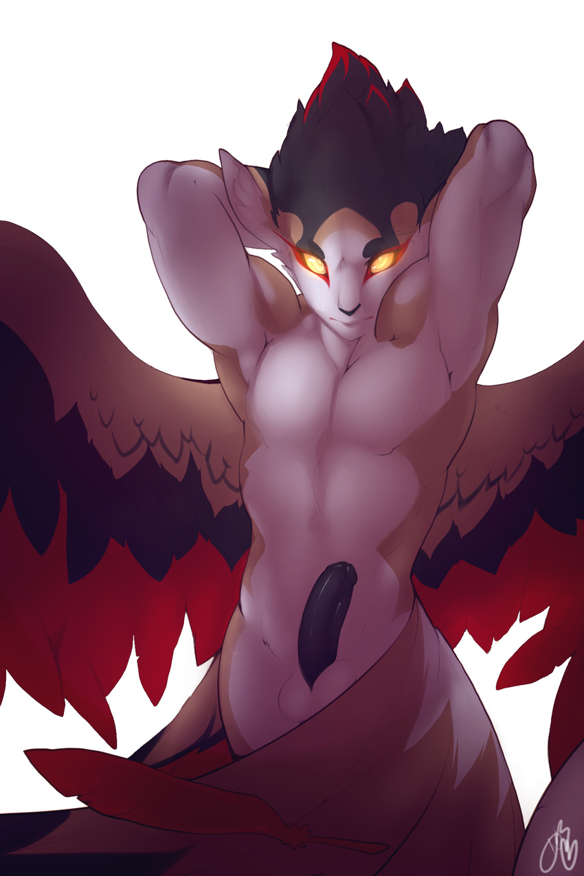 anthro armpits avian balls bird black_penis demon erection feathers looking_at_viewer male nude patto penis plain_background pose solo white_background wings