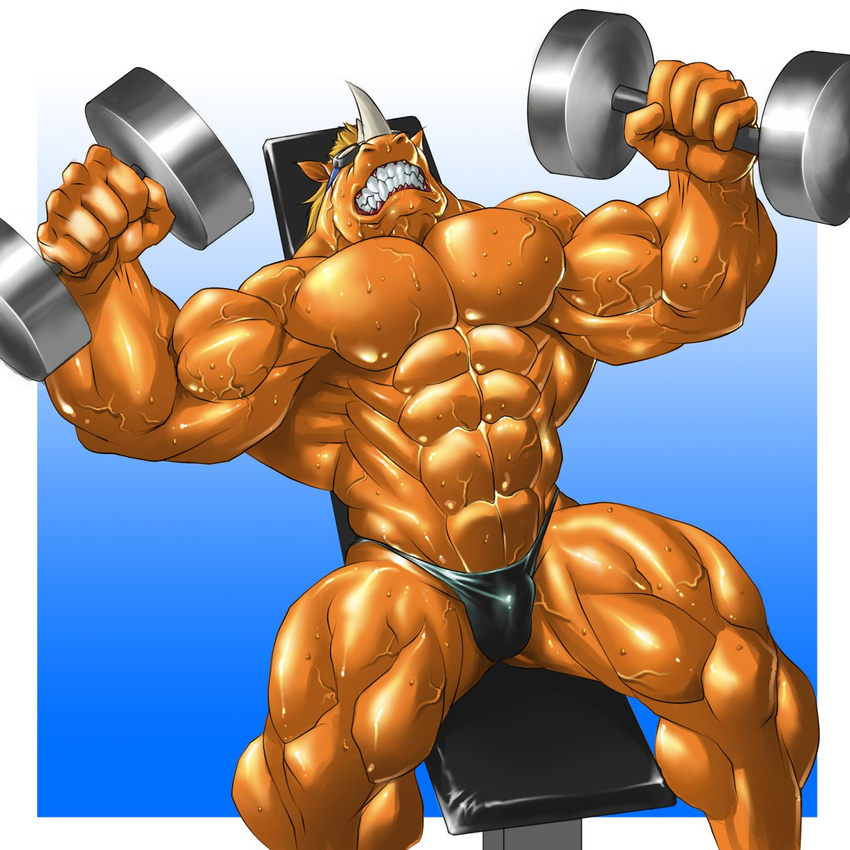 2012 abs bench biceps big_muscles clenched_teeth echin eyewear goggles horn male muscles pecs rhinoceros solo speedo swimsuit vein weightlifting weights zakrhyno