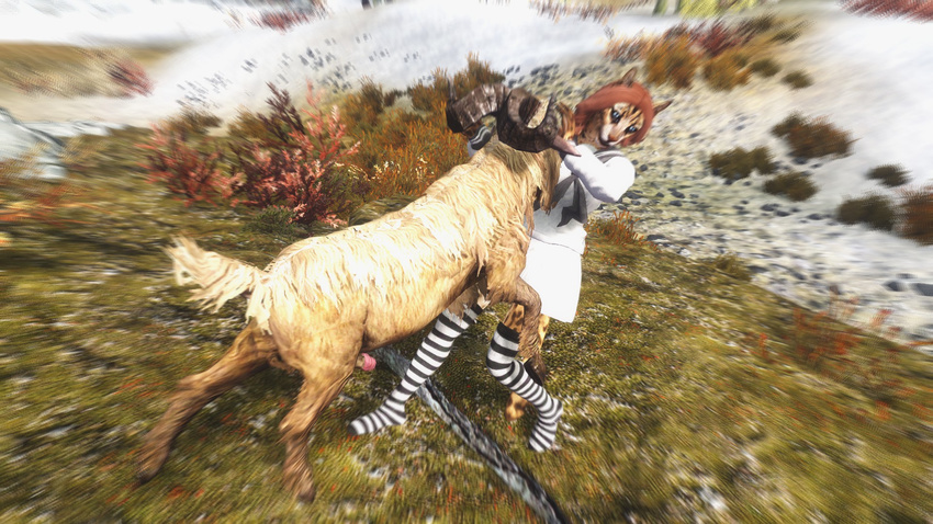 bestiality caprine discombobulation feline female feral goat interspecies khajiit mammal screencap socks the_elder_scrolls the_elder_scrolls_v:_skyrim video_games