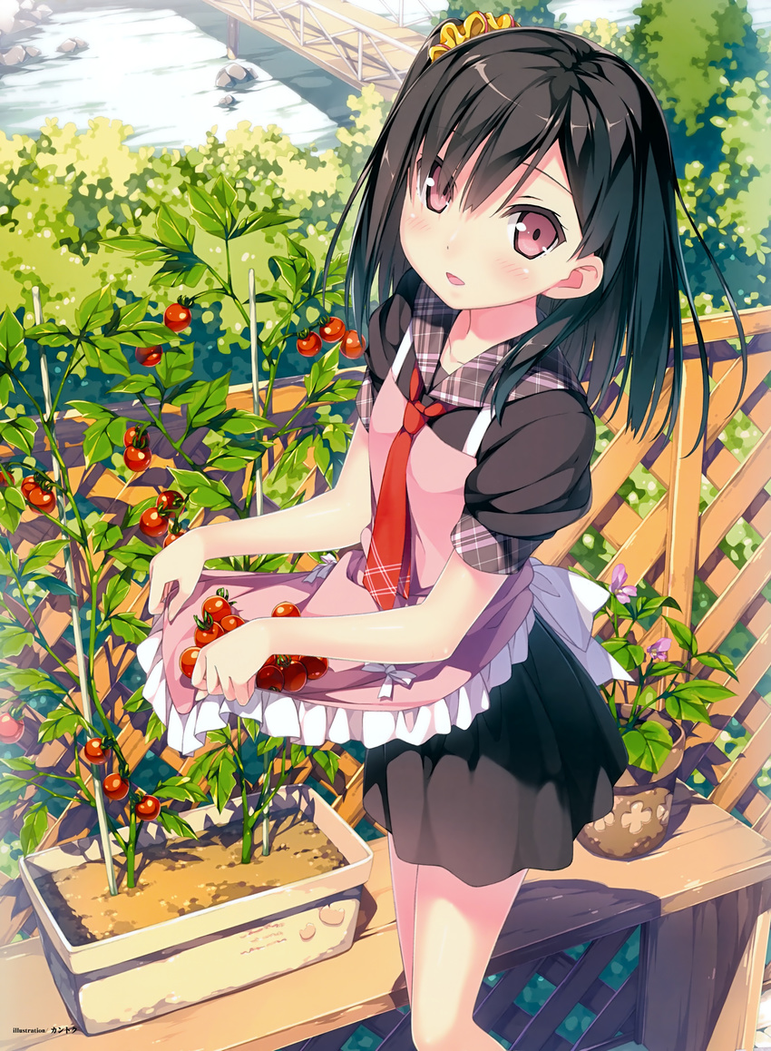 :d absurdres apron artist_name black_hair blush bush cherry_tomato collarbone day eyebrows_visible_through_hair eyes_visible_through_hair food fruit garden hair_ornament hair_over_one_eye hair_scrunchie highres image_sample kantoku looking_at_viewer necktie one_side_up open_mouth original outdoors plaid plaid_collar plant potted_plant purple_eyes red_neckwear rock scrunchie shizuku_(kantoku) short_hair skirt skirt_basket sleeves_rolled_up smile solo standing tomato tomato_plant trellis tsurime vegetable yandere_sample