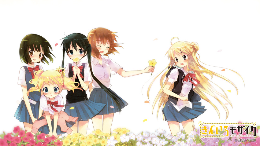 kin'iro_mosaic tagme wallpaper