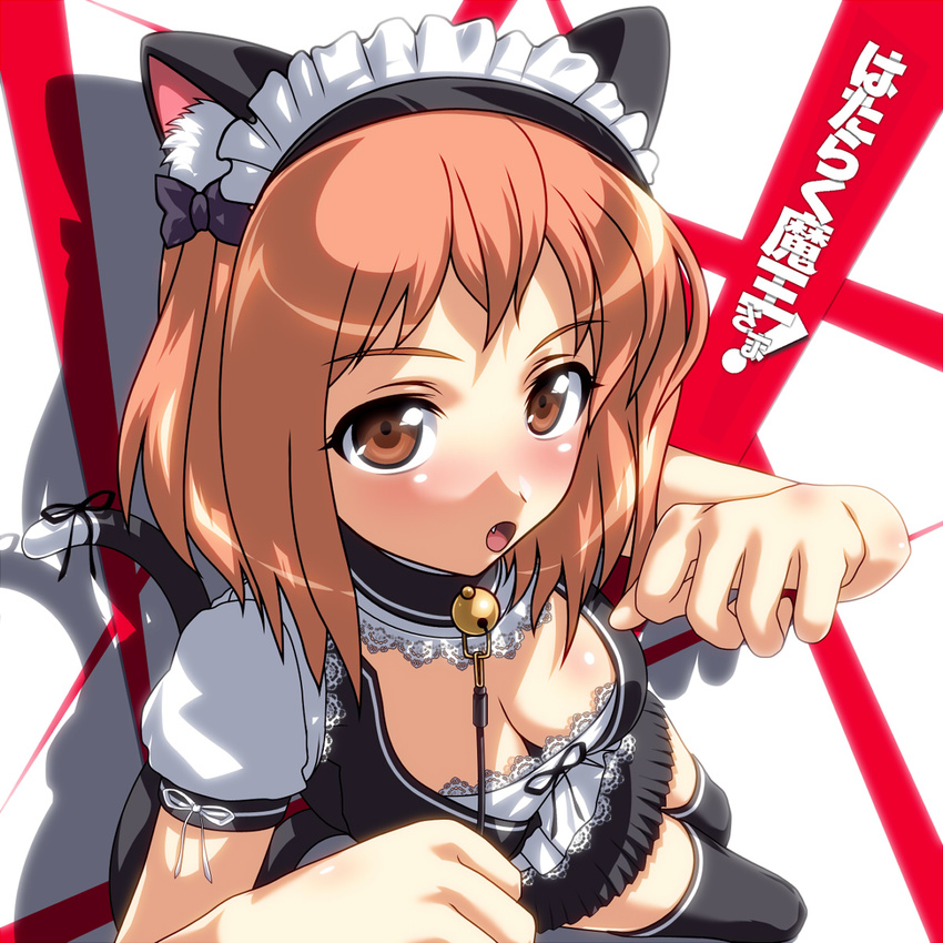 :o animal_ears bell blush bow brown_eyes brown_hair cat_ears cat_tail copyright_name doriri fang hair_bow hataraku_maou-sama! highres maid maid_headdress open_mouth paw_pose ribbon sasaki_chiho short_hair simple_background solo tail tail_ribbon two_side_up