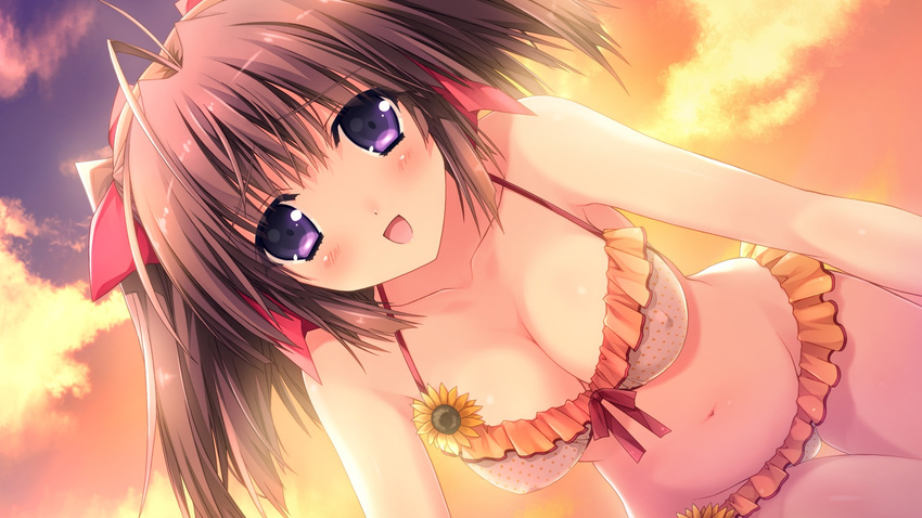 1girl bare_shoulders berry's berry's bikini blush breasts brown_hair cleavage cloud clouds covered_nipples erect_nipples evening game_cg happy highres hips izuno_youko kokonobi large_breasts long_hair looking_at_viewer navel open_mouth purple_eyes sky solo swimsuit twintails