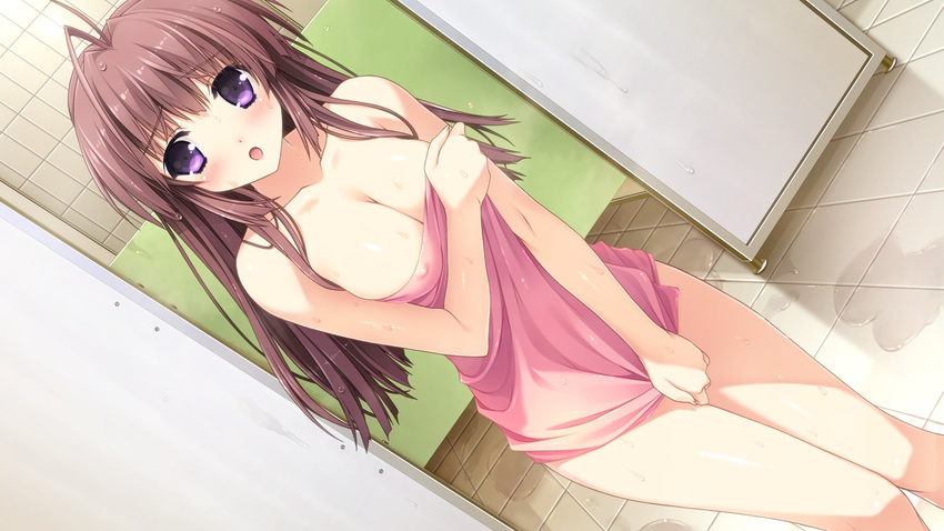 1girl :o antenna_hair bath bathroom berry's berry's blush breasts brown_hair covered_nipples covering dutch_angle erect_nipples female game_cg highres izuno_youko kokonobi large_breasts legs long_hair looking_at_viewer nude open_mouth purple_eyes solo standing thighs tile_floor tiles tongue\r\n tonguern towel wet