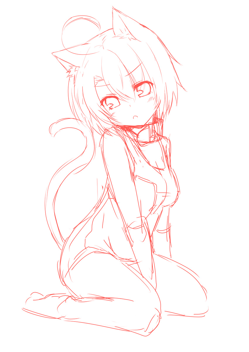 absurdres animal_ears breasts cat_ears cat_tail dodome-iro_mayonnaise highres monochrome original sharon_(dodomayo) short_hair simple_background sitting sketch small_breasts solo tail white_background