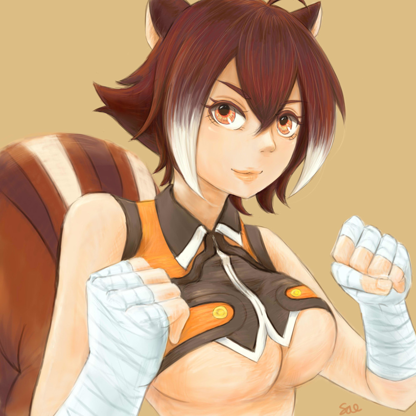 animal_ears artist_name bare_shoulders blazblue breasts brown_eyes brown_hair clenched_hands crop_top fighting_stance hand_wraps highres large_breasts lips makoto_nanaya multicolored_hair nose sae_(tie3tsuki) short_hair simple_background solo squirrel_ears squirrel_tail tail two-tone_hair underboob upper_body