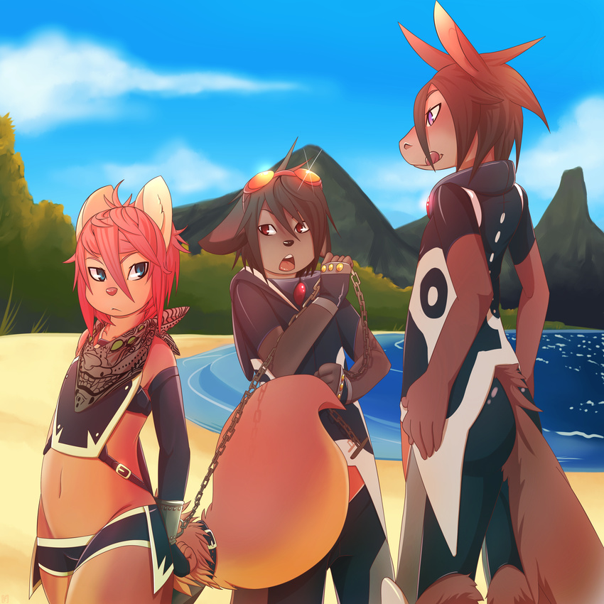 anthro beach blue_eyes bright canine chain clothed clothing cute dog equine eyewear fluffy fox hi_res hoodie horse kemono male mammal puffy punk purple_eyes red_eyes rudragon seaside spine sun sunglasses tongue