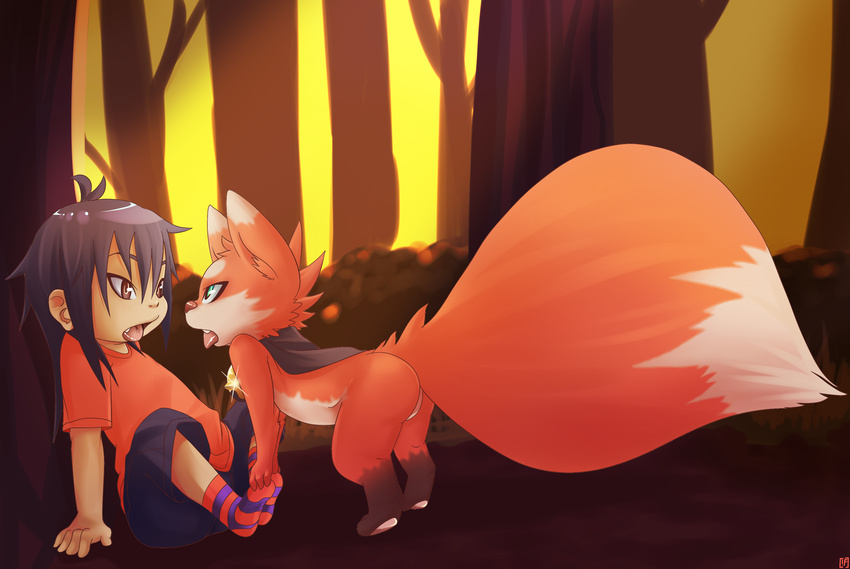 anthro big_tail canine cute duo eye_contact forest fox human male mammal open_mouth rudragon scenery shine tree wood