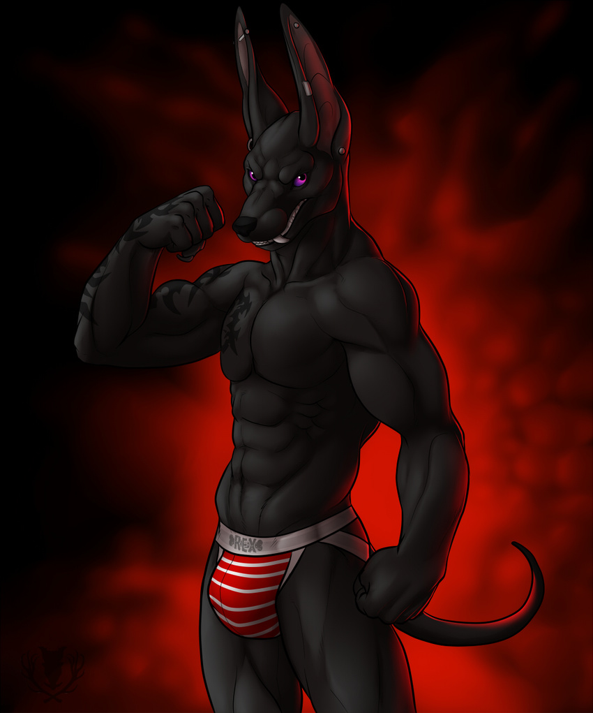 abs abstract_background anthro anubian_jackal biceps big_muscles black_fur black_nose bulge canine ear_piercing fangs flexing fur jackal jockstrap looking_at_viewer male mammal muscles pecs piercing plain_background pose purple_eyes red_background solo standing tattoo teeth toned topless underwear vallhund