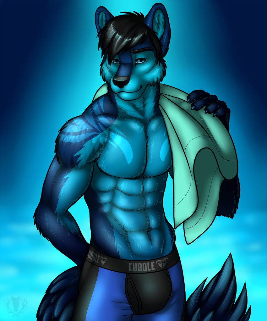 abs anthro biceps big_muscles black_hair black_nose blue_background blue_eyes blue_fur bulge canine claws clothing djwolf front fur hair looking_at_viewer male mammal multicolor_fur muscles pecs plain_background pose shorts solo standing swimsuit toned topless towel two_tone_fur underwear vallhund wolf