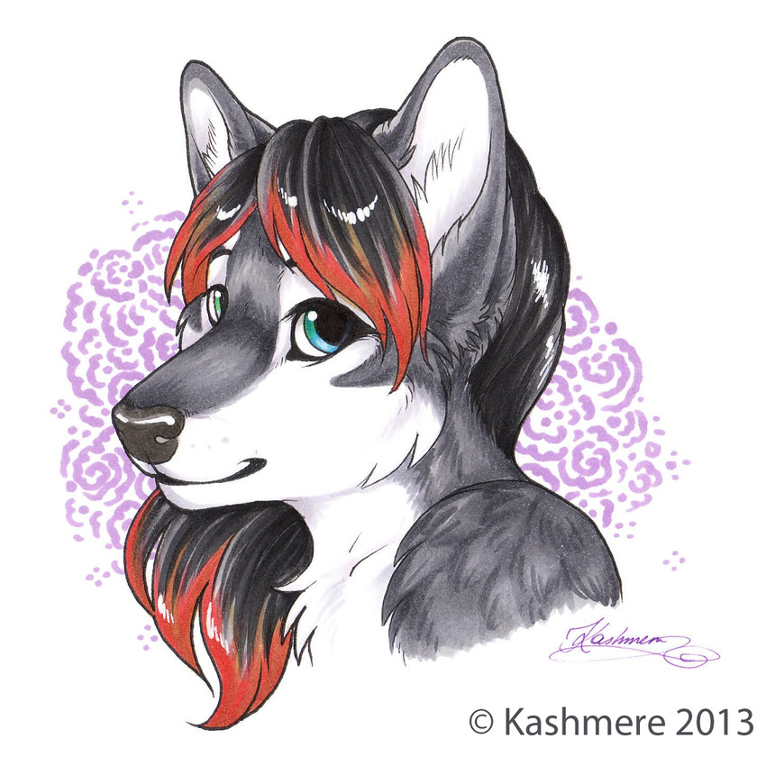 bust canine cute female fur jacki_northstar kashmere looking_at_viewer mammal portrait solo white_fur wolf
